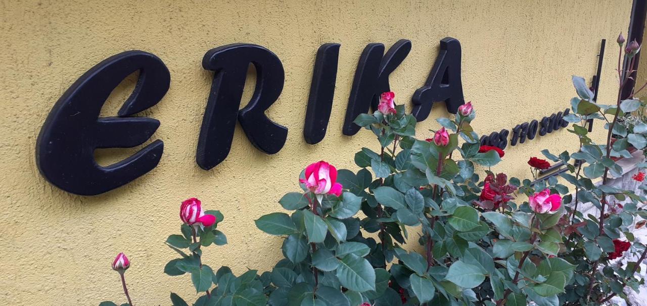 Apartment Erika Fuzine Ngoại thất bức ảnh
