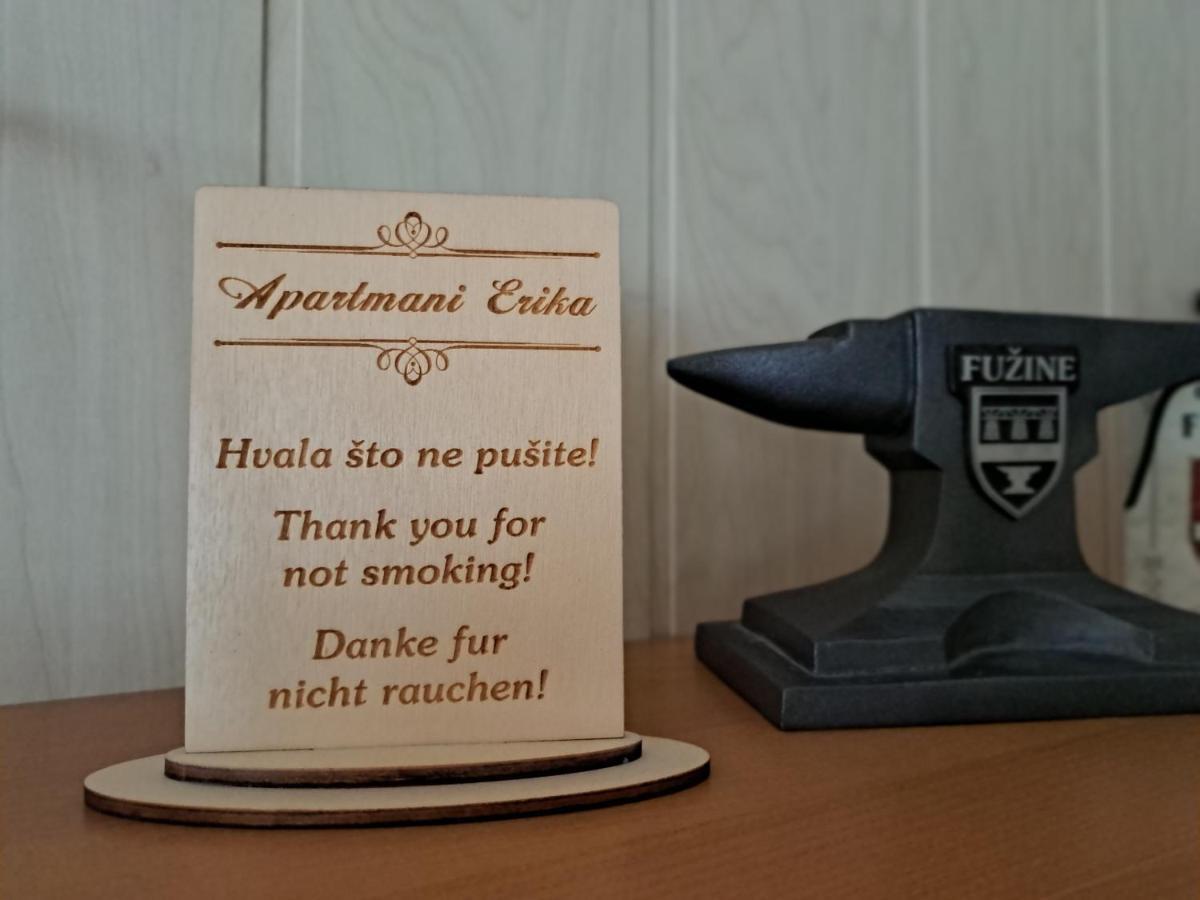 Apartment Erika Fuzine Ngoại thất bức ảnh